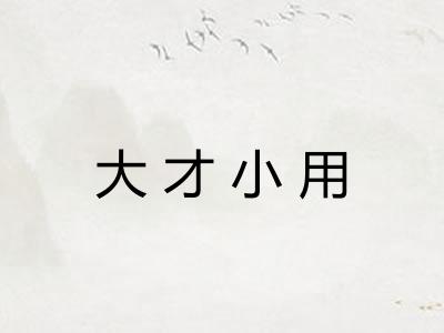 大才小用