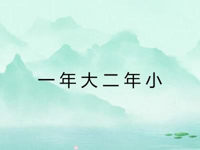 一年大二年小