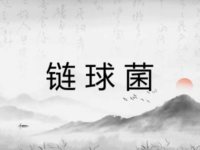 链球菌