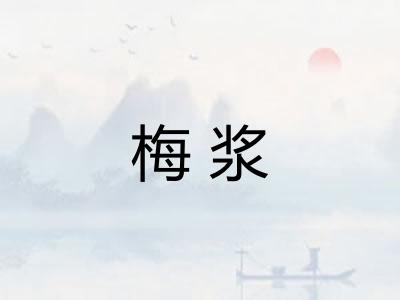 梅浆