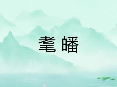 耄皤