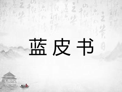 蓝皮书