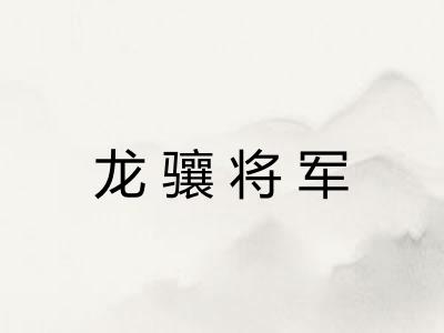 龙骧将军