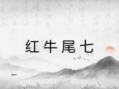 红牛尾七
