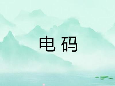 电码