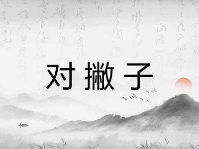 对撇子