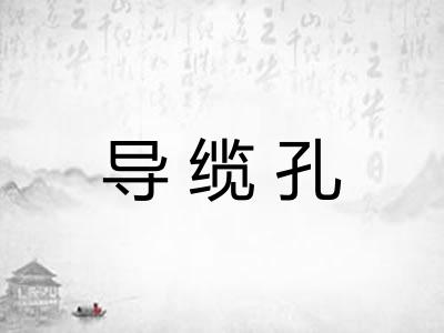 导缆孔