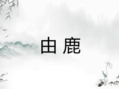 由鹿