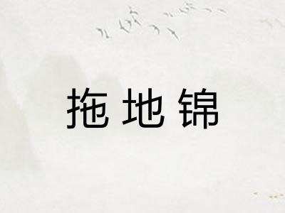 拖地锦