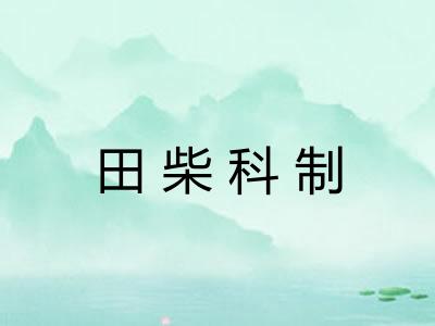 田柴科制
