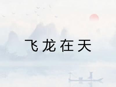 飞龙在天