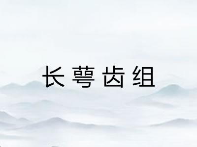 长萼齿组