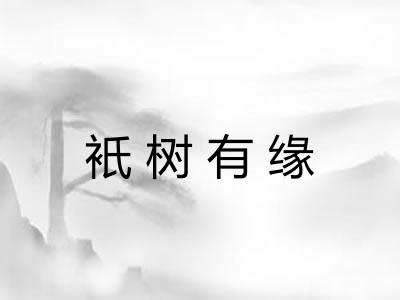 衹树有缘