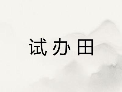试办田