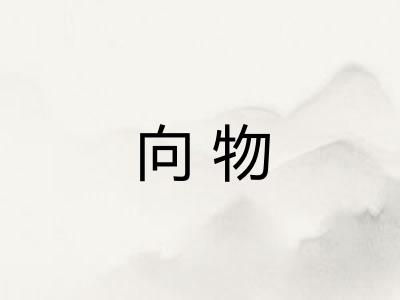 向物