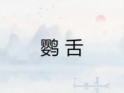 鹦舌