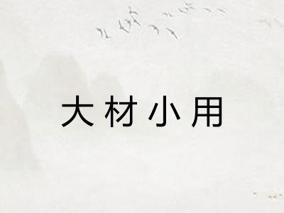 大材小用