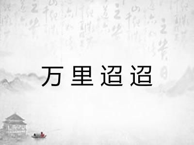 万里迢迢