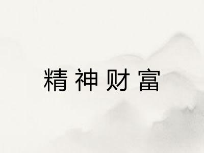 精神财富