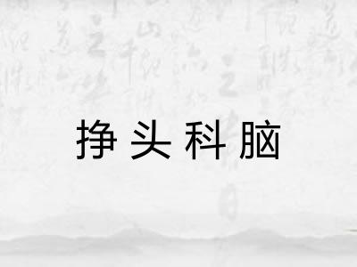 挣头科脑