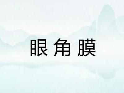眼角膜