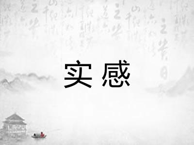 实感