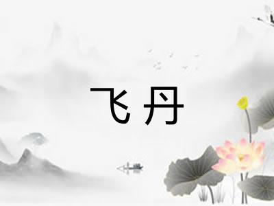 飞丹
