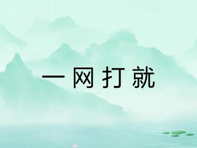 一网打就