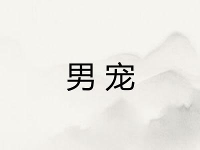 男宠