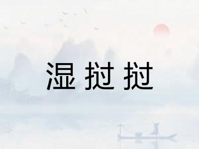 湿挝挝