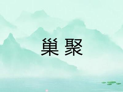 巢聚