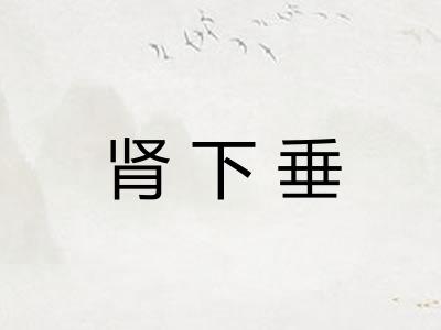 肾下垂