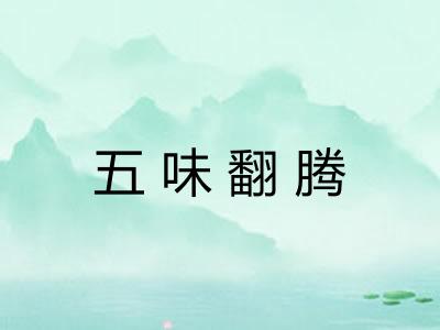 五味翻腾