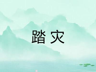 踏灾