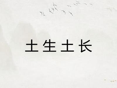 土生土长