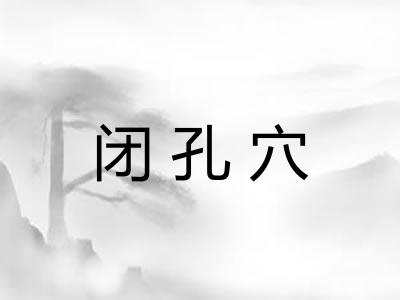 闭孔穴