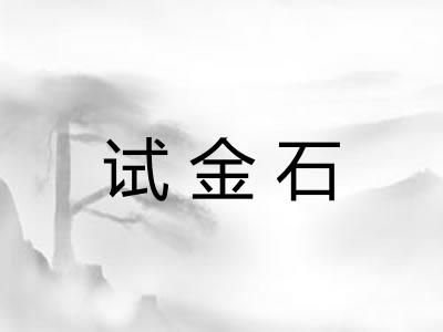 试金石