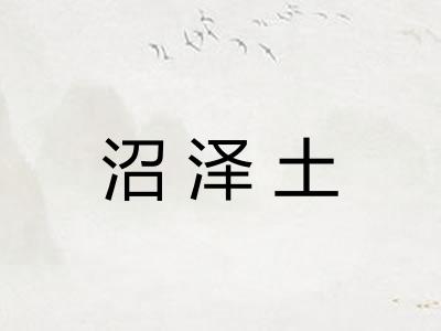 沼泽土
