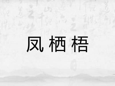 凤栖梧
