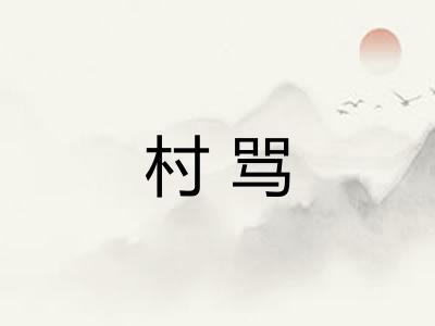 村骂