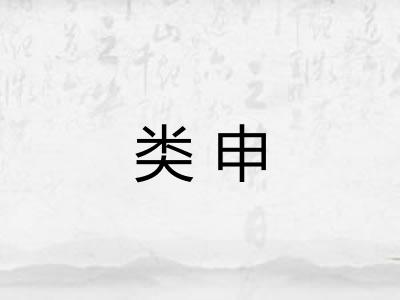 类申