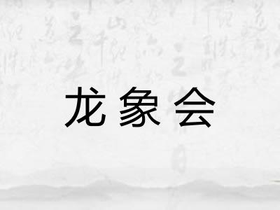 龙象会