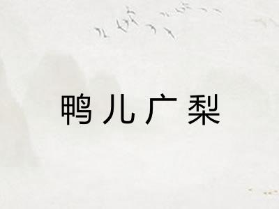 鸭儿广梨