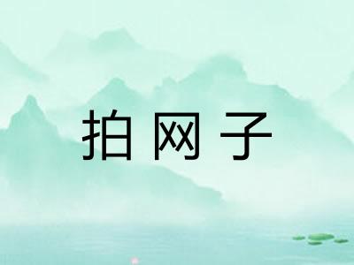 拍网子