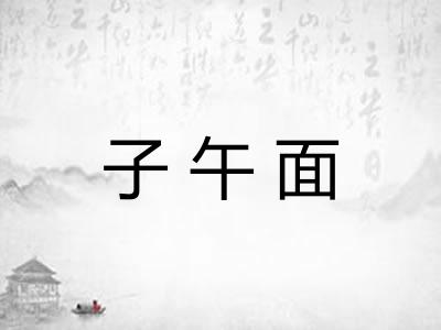 子午面