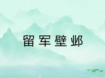 留军壁邺