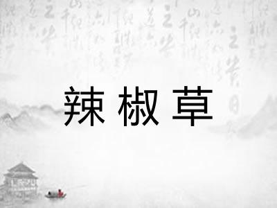 辣椒草