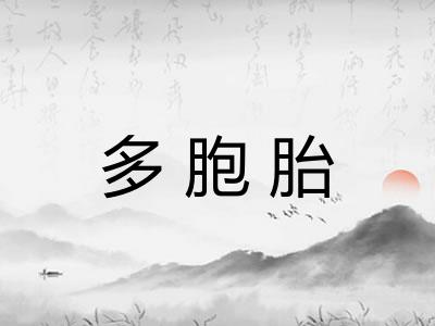 多胞胎