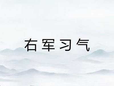 右军习气