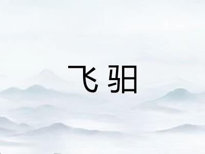 飞驲